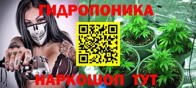 трава Кандалакша