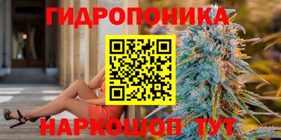 трава Кандалакша
