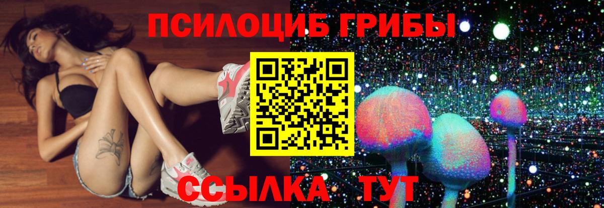 Галлюциногенные грибы Magic Shrooms Кубинка